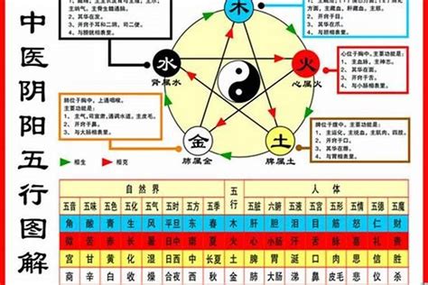 1984鼠五行|1984年属什么的生肖，1984年属鼠的人和什么属相最相配